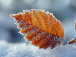 AI generated A close up of a leaf with intricate frost edges against a snowy background space around for natures detail photo