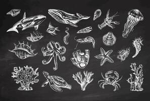 Hand-drawn undersea Animals, creatures set. Vector outline style illustration. Vintage sketch engraving illustration isolated on chalkboard background.