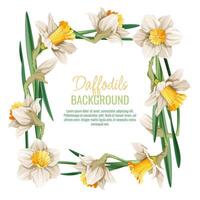 Spring background with daffodils. Postcard, banner for Easter. Spring time. Frame with delicate spring flowers. vector