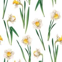 Seamless pattern with narcissus flowers. Spring fabric design. Floral print for Easter with daffodils. Suitable for fabric wallpaper, textiles, scrapbooking. vector