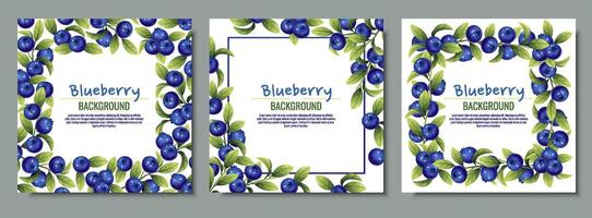 Set of cards with blueberries and green leaves. Frame, background with wild berries. vector