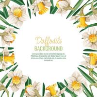 Spring background with daffodils. Postcard, banner for Easter. Spring time. Frame with delicate spring flowers. vector