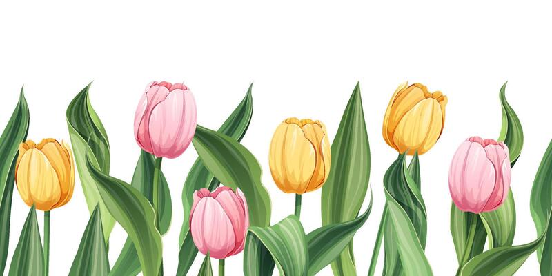 Seamless border of tulips on an isolated background. Illustration with spring flowers for Easter, Mother's Day, etc. Suitable for decor, fabric, cards, backgrounds, wallpapers