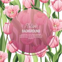 Template for greeting card, banner with pink tulips. Spring background for International Women's Day, March 8. Frame with delicate spring flowers. vector