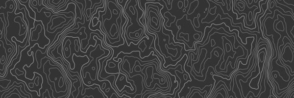 Topographic map. Line contour geographic map pattern with elevation levels. Abstract vector geographic topo wavy grid gray relief texture