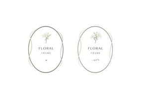 Lily floral frame ornament banner on background vector