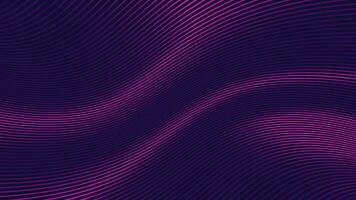 oscuro Violeta antecedentes con líneas curva fluido diseño. vector ilustración