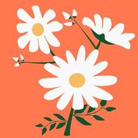 a white daisy on an orange background vector