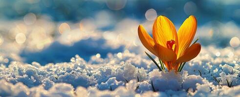 AI generated Lone Yellow Flower in Snow photo