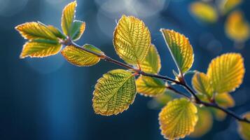 AI generated Green Leaves on Tree Branch photo