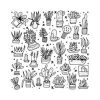 Succulents in doodle style. Vector illustration.