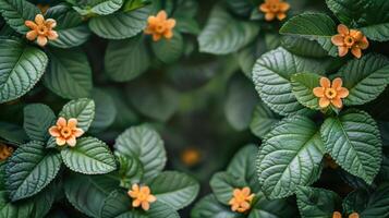 AI generated Cluster of Yellow Flowers With Green Leaves photo