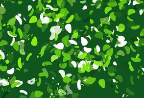 Light green vector backdrop with abstract shapes.