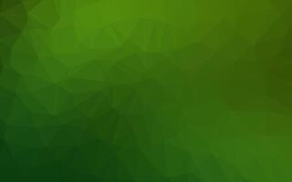 Light Green vector polygonal background.