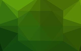 Light Green vector polygonal background.