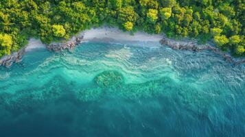 AI generated Aerial View of Body of Water Surrounded by Trees photo