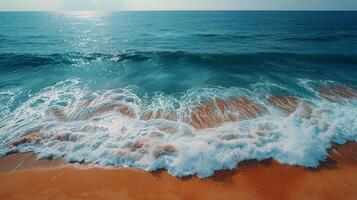ai generado dos estrellas de mar y conchas en un arenoso playa foto