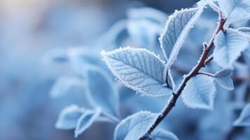 AI generated Macro shot of frost on foliage, icy details, winter wonder photo