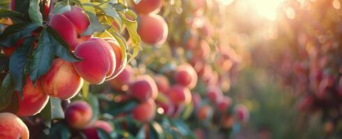 AI generated Cluster of Ripening Fruit on Tree photo