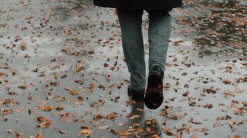 Young man in a coat walking on the wet asphalt of a city street which is covered with fallen leaves under a transparent umbrella during the rain, back view video