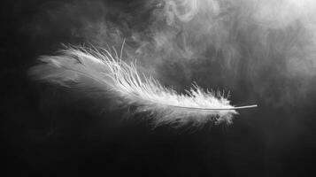 AI generated A feather signifying freedom or lightness photo