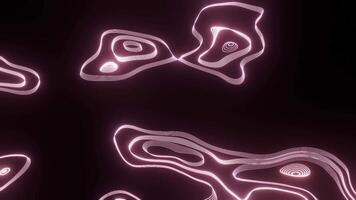 abstract neon motion animated loops video