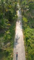 Scooters riding on a tropical road. video