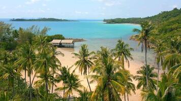 Tropical paradise island with white sandy beach, turquoise water, and palm trees video