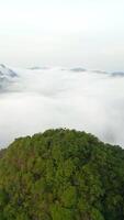 coberto de nuvens montanhas dentro khao sok, tailândia. video