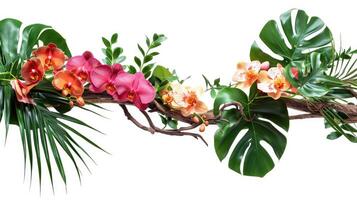 AI generated Floral arrangement with tropical leaves and orchids. Tropical flower decor on tree branch on white background. photo