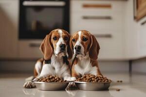 ai generado dos beagles perros sentado con un plato de seco alimento. foto