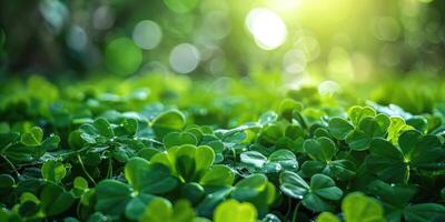 AI generated Celebrating Saint Patricks day in Ireland with a glass of green beer. St Patricks day background. photo
