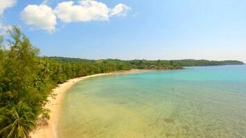 A dynamic shot of a sunlit beach with coconut palms on a paradise island. video