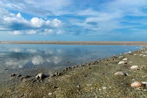 On the beach with blue sky photo