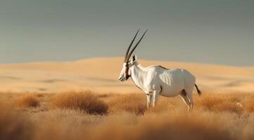 AI generated Arabian oryx antelope standing in the middle of a desert photo