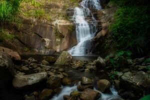 Small waterfall in the forest photo