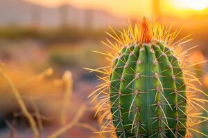 AI generated Selective focus shot of a cactus with big spikes. photo