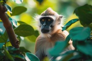 AI generated Beautiful monkey spending time in nature. photo