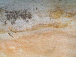 Surface bark of eucalyptus tree. photo