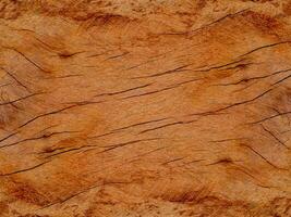 Texture of Eucalyptus wood background. photo