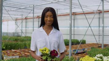 Young African American florist stands and holds yellow and burgundy flowers in pots video