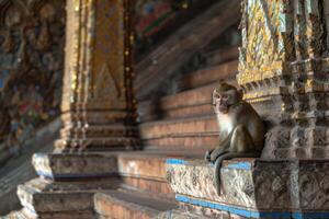 AI generated Monkey relaxing on stairs with a tree behind it, in the style of Buddhist art and architecture. photo