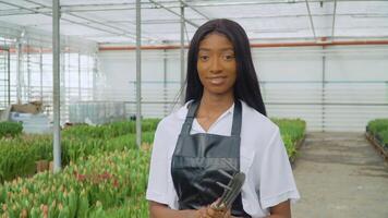 skön ung afrikansk flicka i en vit skjorta och en svart läder förkläde står med trädgårdsarbete verktyg i henne händer på en bakgrund av tulpaner växande i en växthus. växande tulpaner i en växthus video