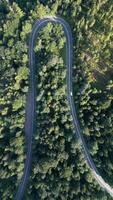 Top View Of A Car Driving On A Winding Road Through A Mountain Forest In Summer video