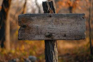 AI generated Old wooden sign in nature photo