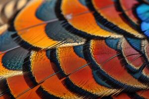 AI generated Closeup abstract background image of colorful ring-necked pheasant feathers. photo