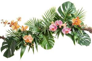 AI generated Floral arrangement with tropical leaves and orchids. Tropical flower decor on tree branch on white background. photo