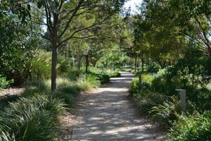 AI generated Footpath through a beautiful park. photo