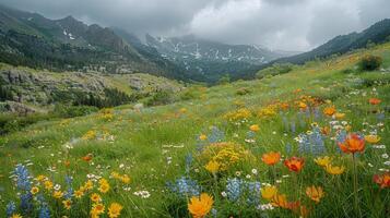 ai generado campo de flores silvestres y montañas foto