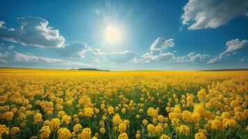 ai generado campo de amarillo flores debajo azul cielo foto